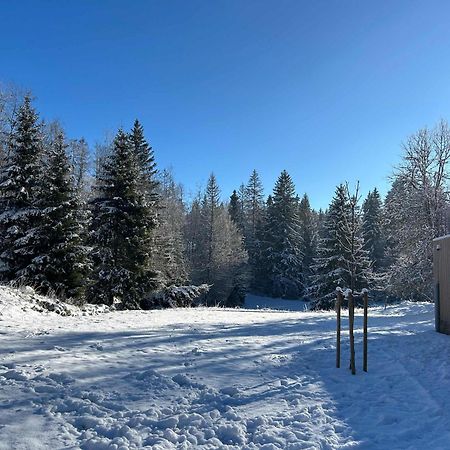 Gite De Prestige En Pleine Nature Premanon Exterior photo