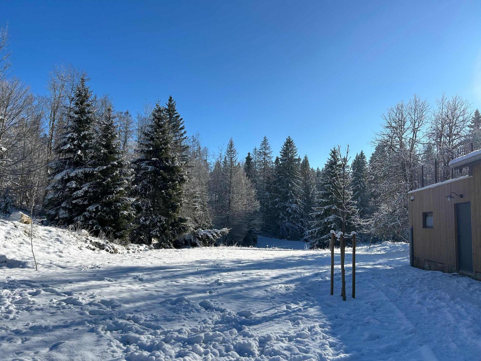 Gite De Prestige En Pleine Nature Premanon Exterior photo